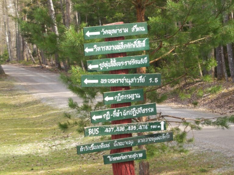 Discover the Hidden Gems of Wandereaglesnest.com Travel Guide